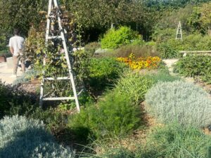 Our Trip To Davines! Davines Village, Parma, With Decesare Salon in Mitlon Keynes